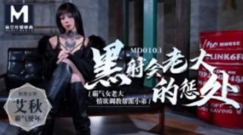 黑社会女老大的惩处